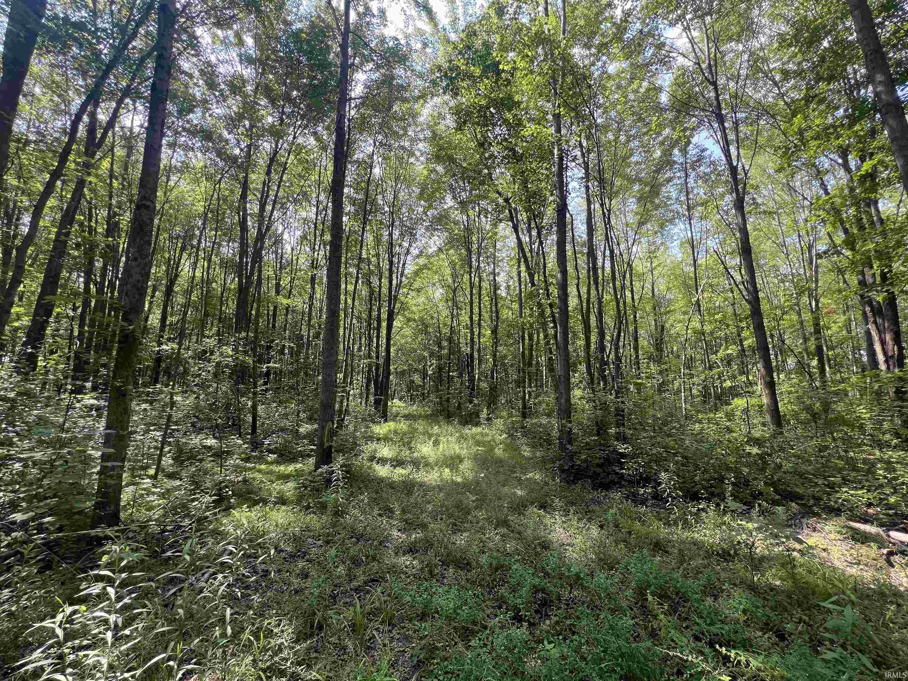 4731 Evard Road Fort Wayne, IN 46835 - Photo 13 of 14