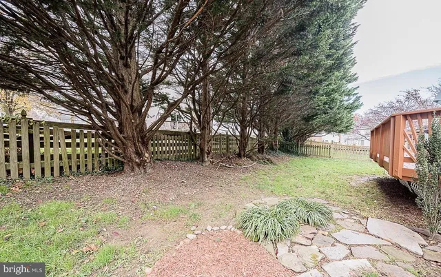a view of a yard with plants and trees
