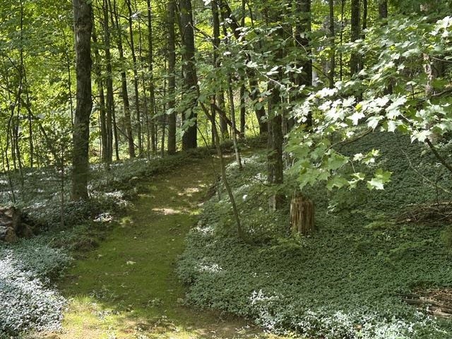 5047 Vermont Rte 100 Eden, VT 05653 - Photo 13 of 42 Gallery Image 13