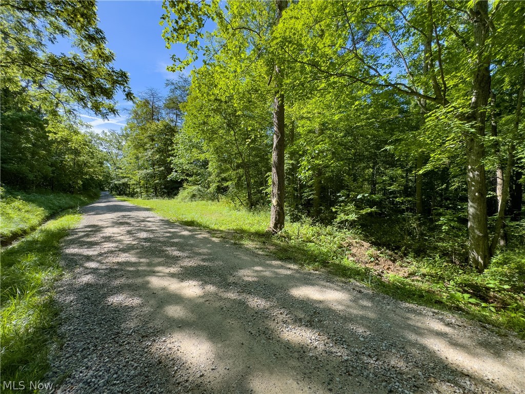 2 Jake Road Patriot, OH 45658 - Photo 2 of 20