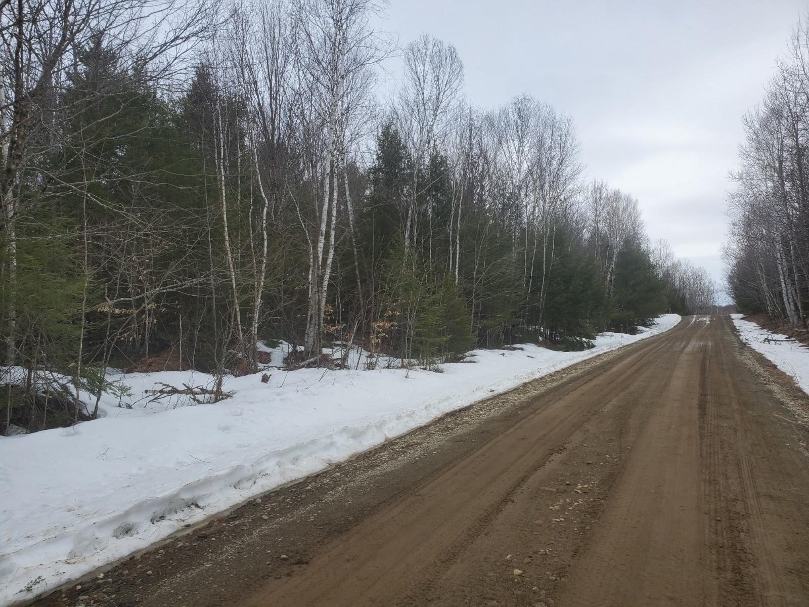 Lot 30 Upper Dobsis Road Lakeville, ME 04487 - Photo 3 of 7 20210325_123642