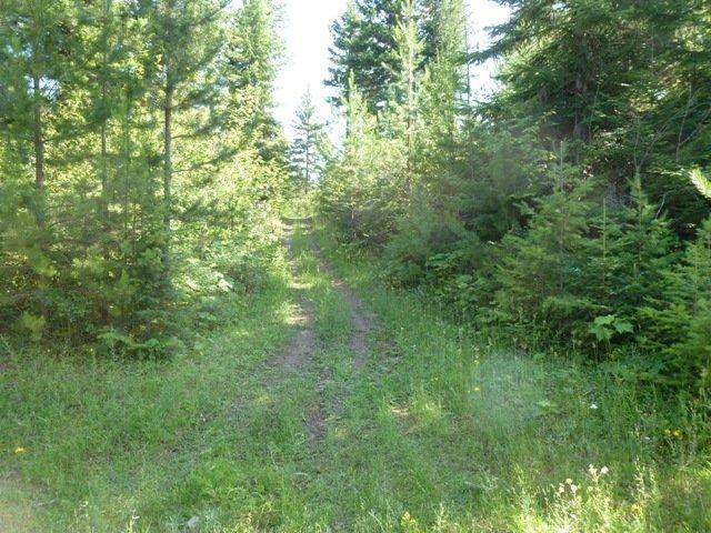 0 Riverbend Meadows Cusick, WA 99119 - Photo 1 of 7 Gallery Image 1