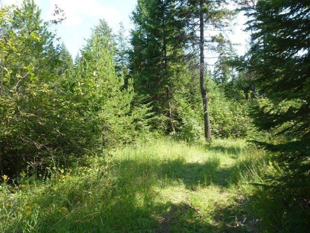 0 Riverbend Meadows Cusick, WA 99119 - Photo 2 of 7 Gallery Image 2