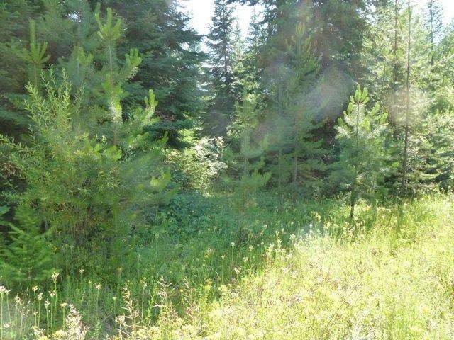 0 Riverbend Meadows Cusick, WA 99119 - Photo 6 of 7 Gallery Image 6