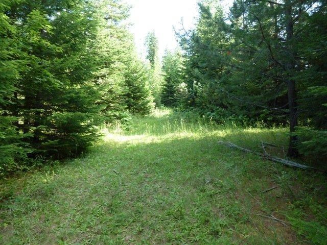 0 Riverbend Meadows Cusick, WA 99119 - Photo 7 of 7 Gallery Image 7