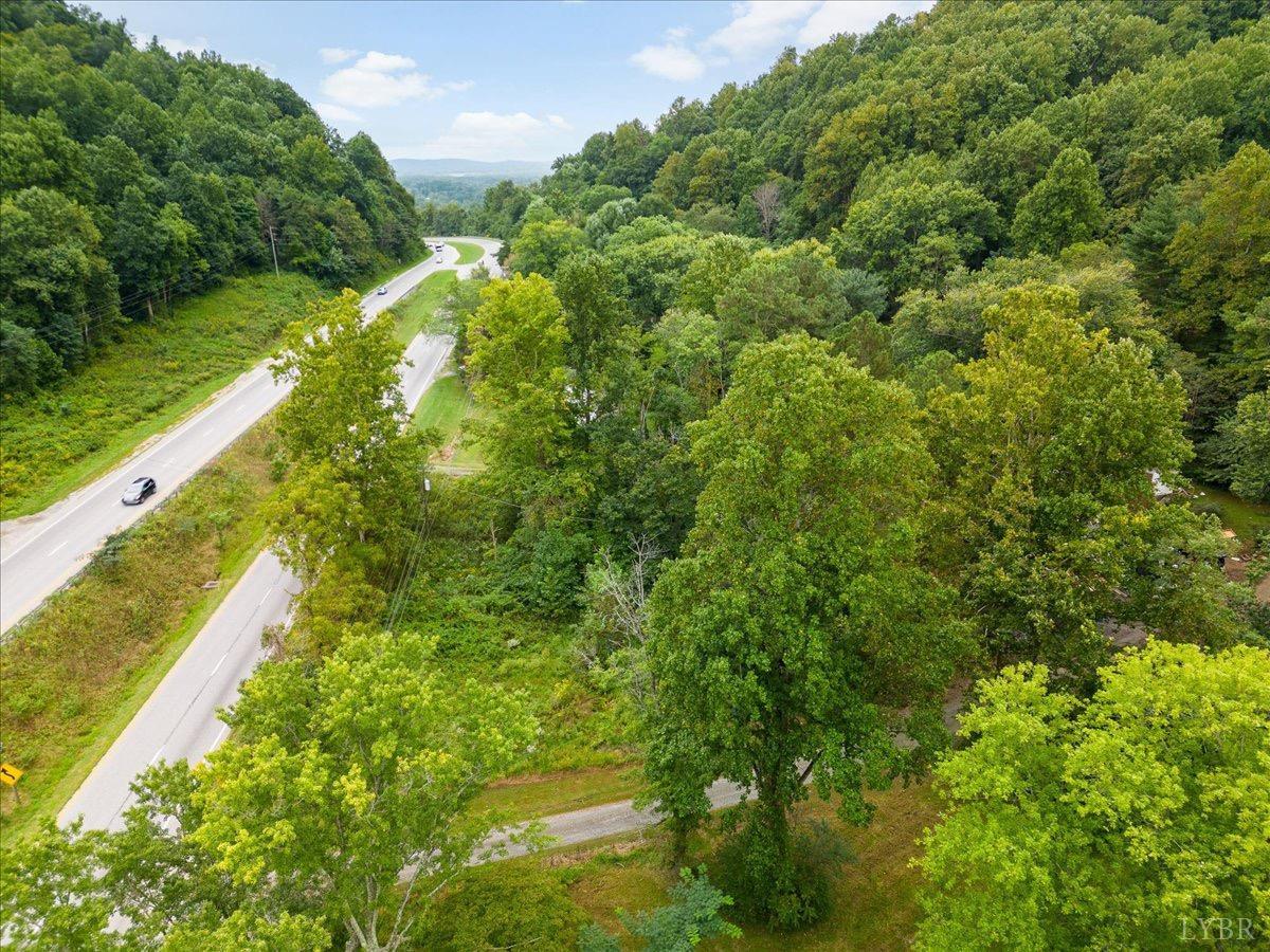 15 Cannery Loop Lovingston, VA 22949 - Photo 34 of 60 a view of a yard with plants and large trees
