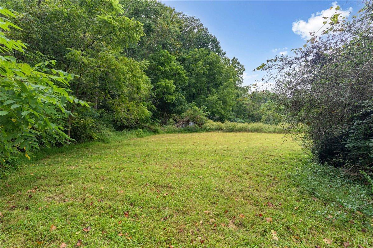 15 Cannery Loop Lovingston, VA 22949 - Photo 52 of 60