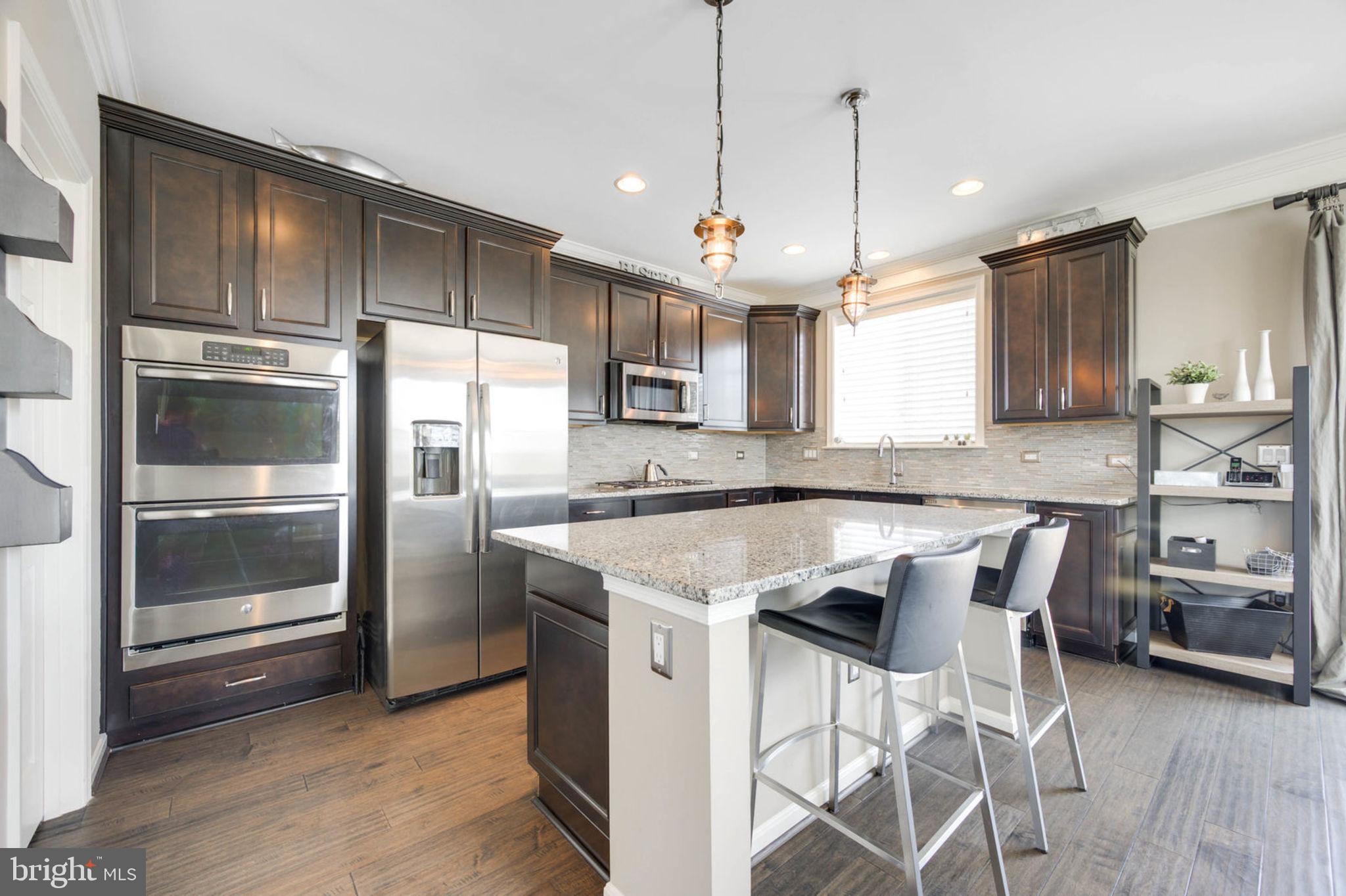 25660 Pleasant Valley Road Chantilly, VA 20152 - Photo 3 of 42 Sleek modern kitchen
