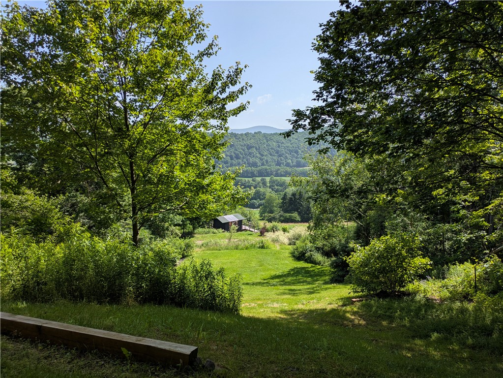 532 Lejohn Road Kortright, NY 13842 - Photo 47 of 50