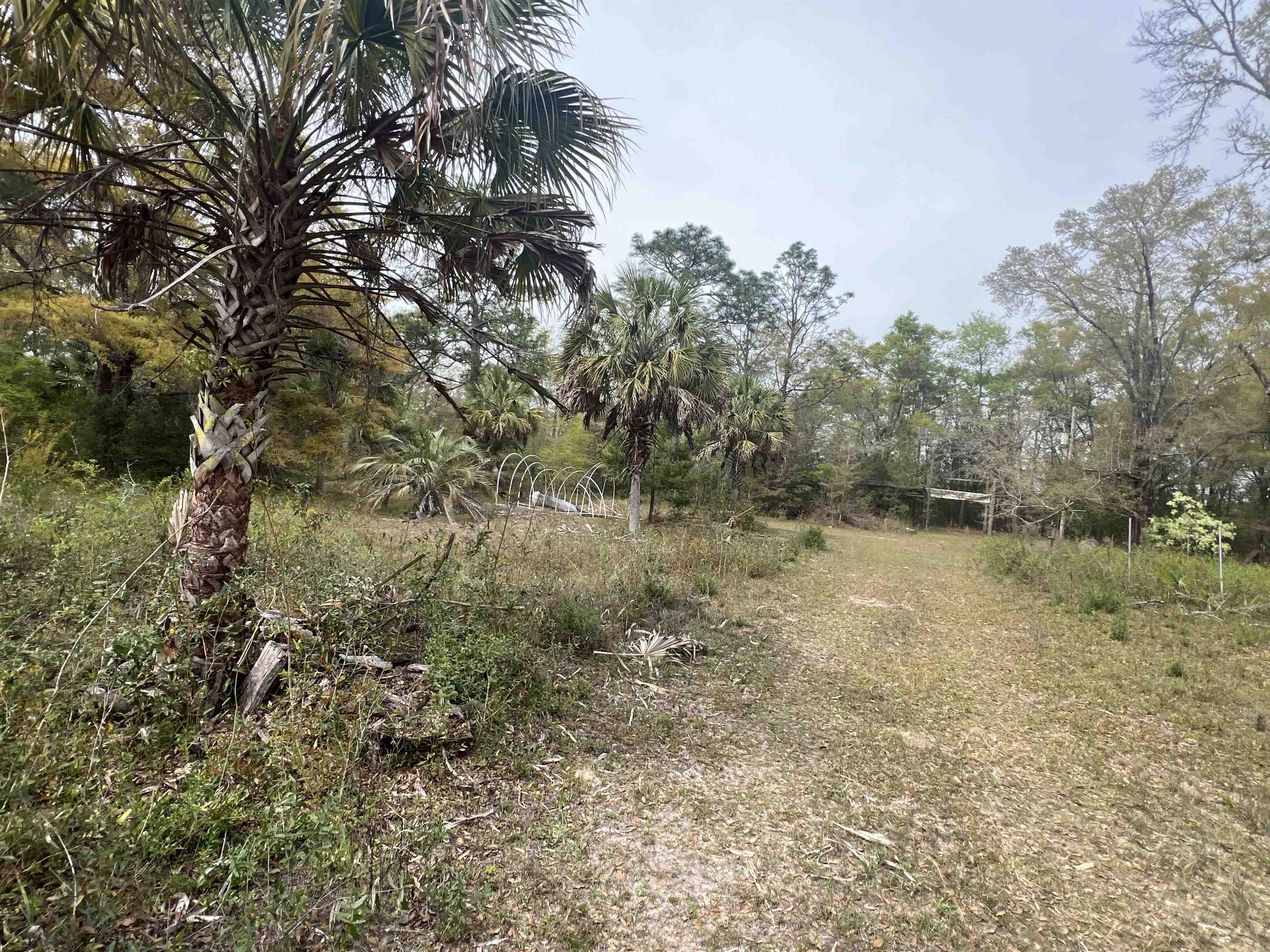 747 Old Federal Road Quincy, FL 32351 - Photo 1 of 11 Gallery Image 1