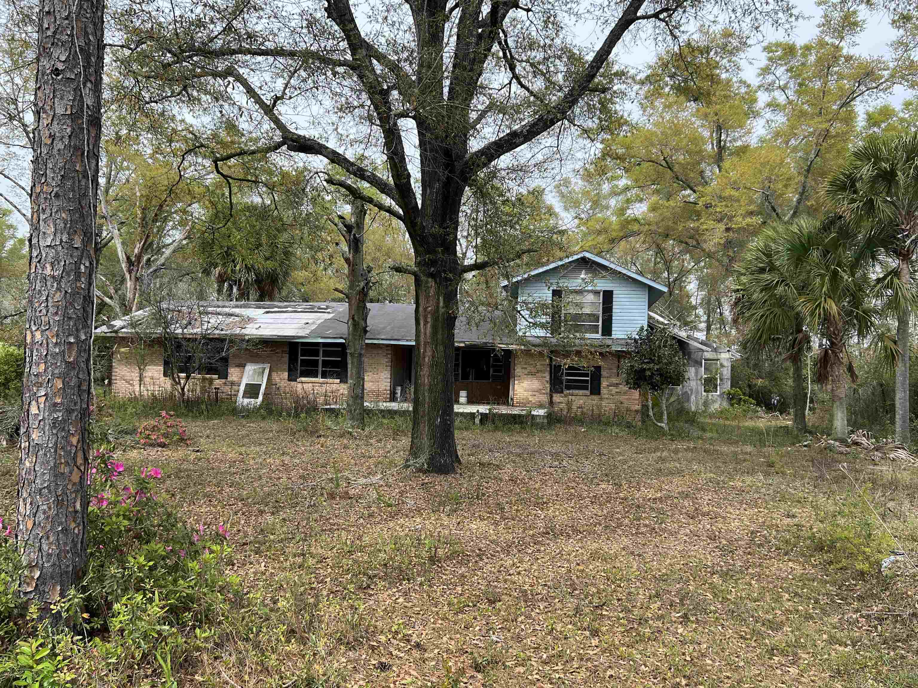 747 Old Federal Road Quincy, FL 32351 - Photo 2 of 11 Gallery Image 2