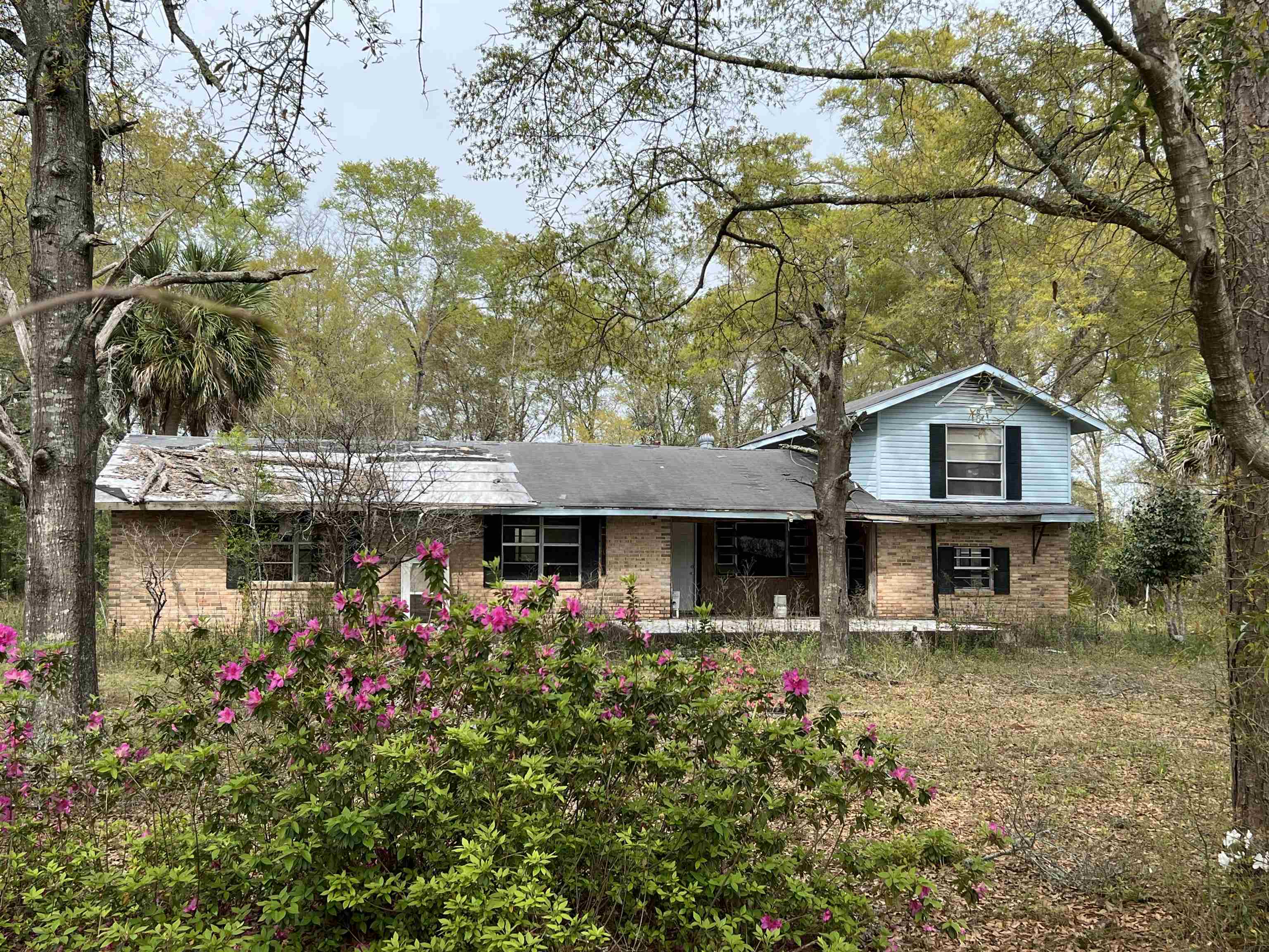 747 Old Federal Road Quincy, FL 32351 - Photo 3 of 11 Gallery Image 3