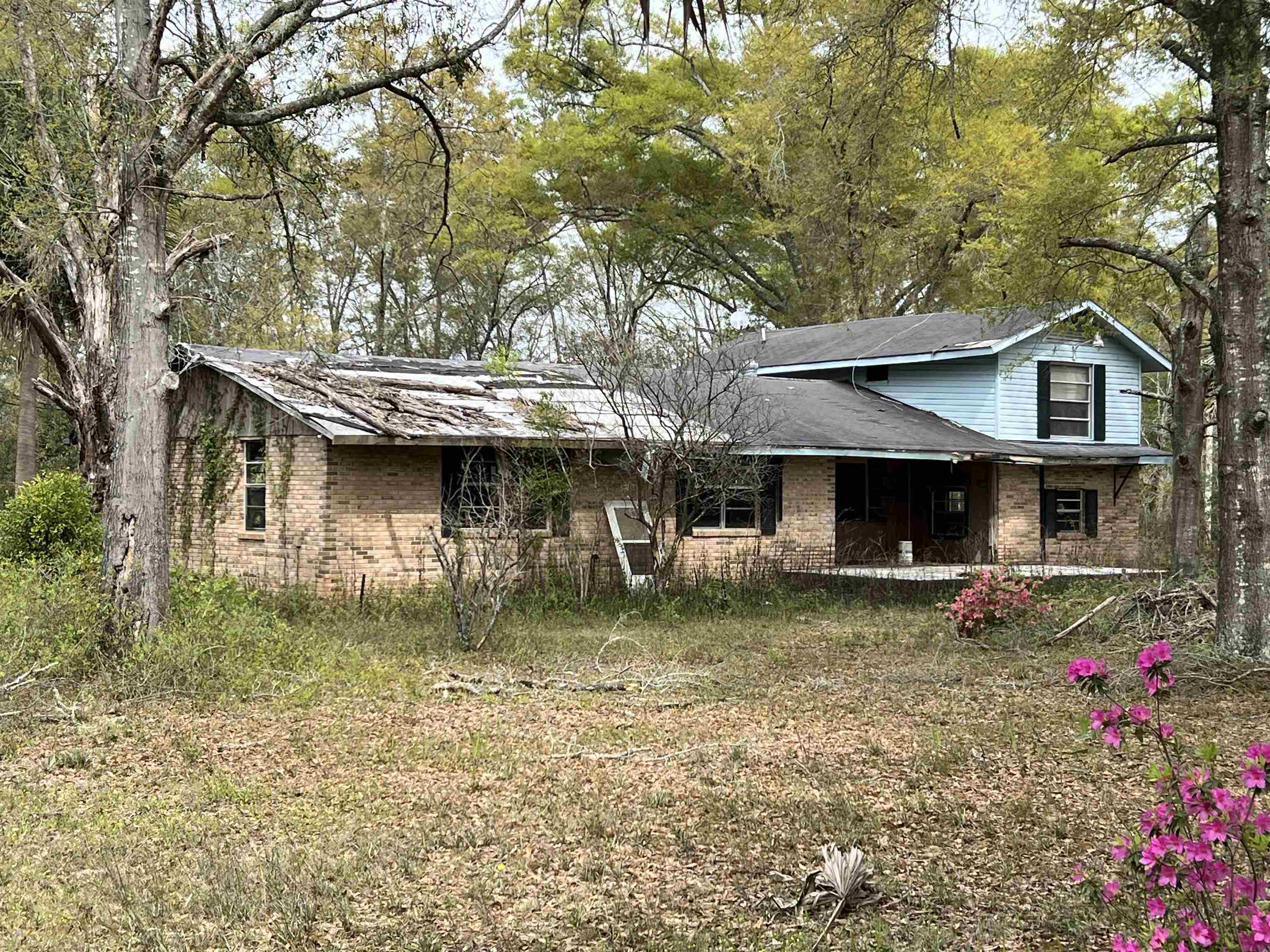 747 Old Federal Road Quincy, FL 32351 - Photo 4 of 11 Gallery Image 4