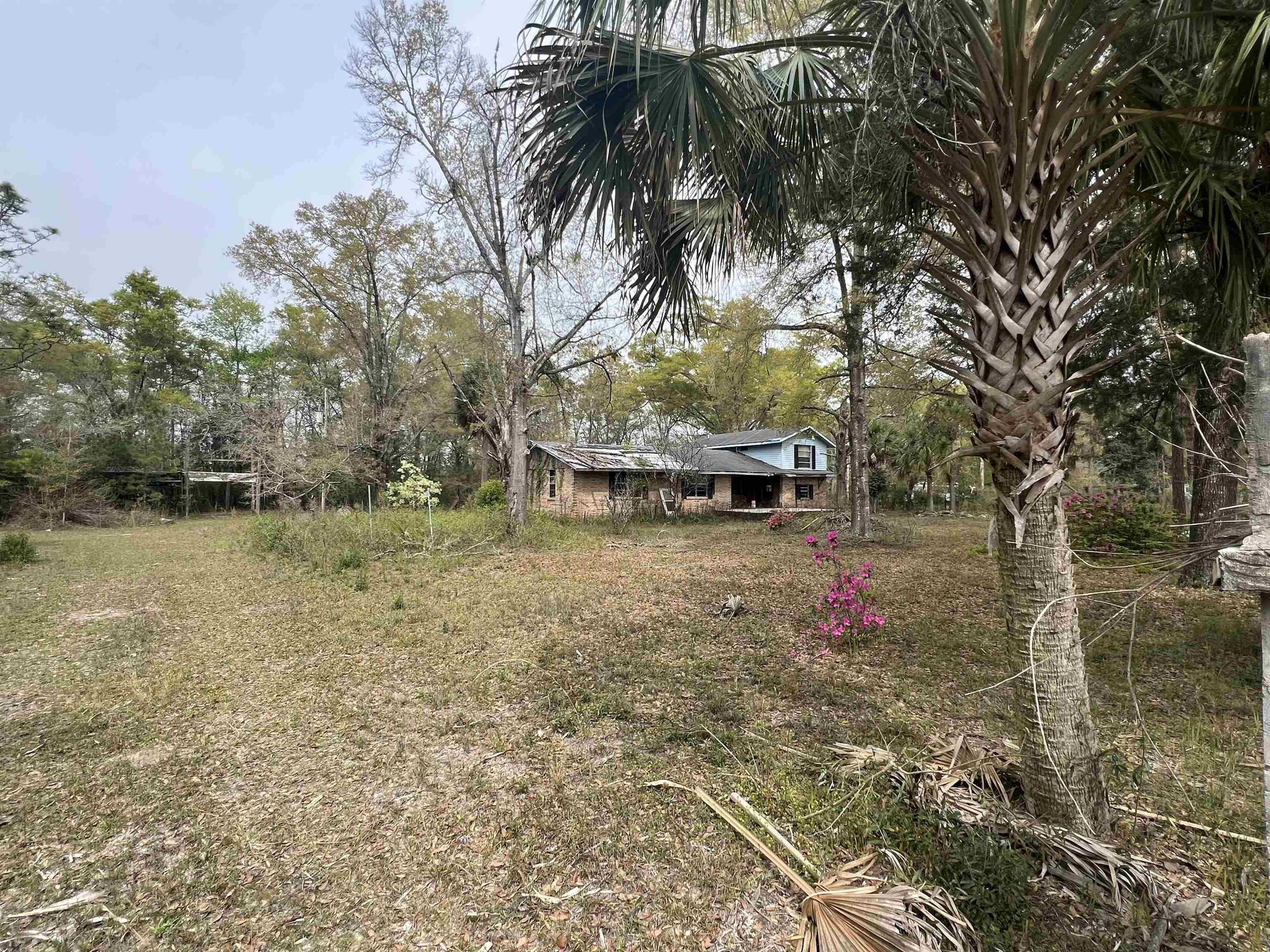 747 Old Federal Road Quincy, FL 32351 - Photo 5 of 11 Gallery Image 5