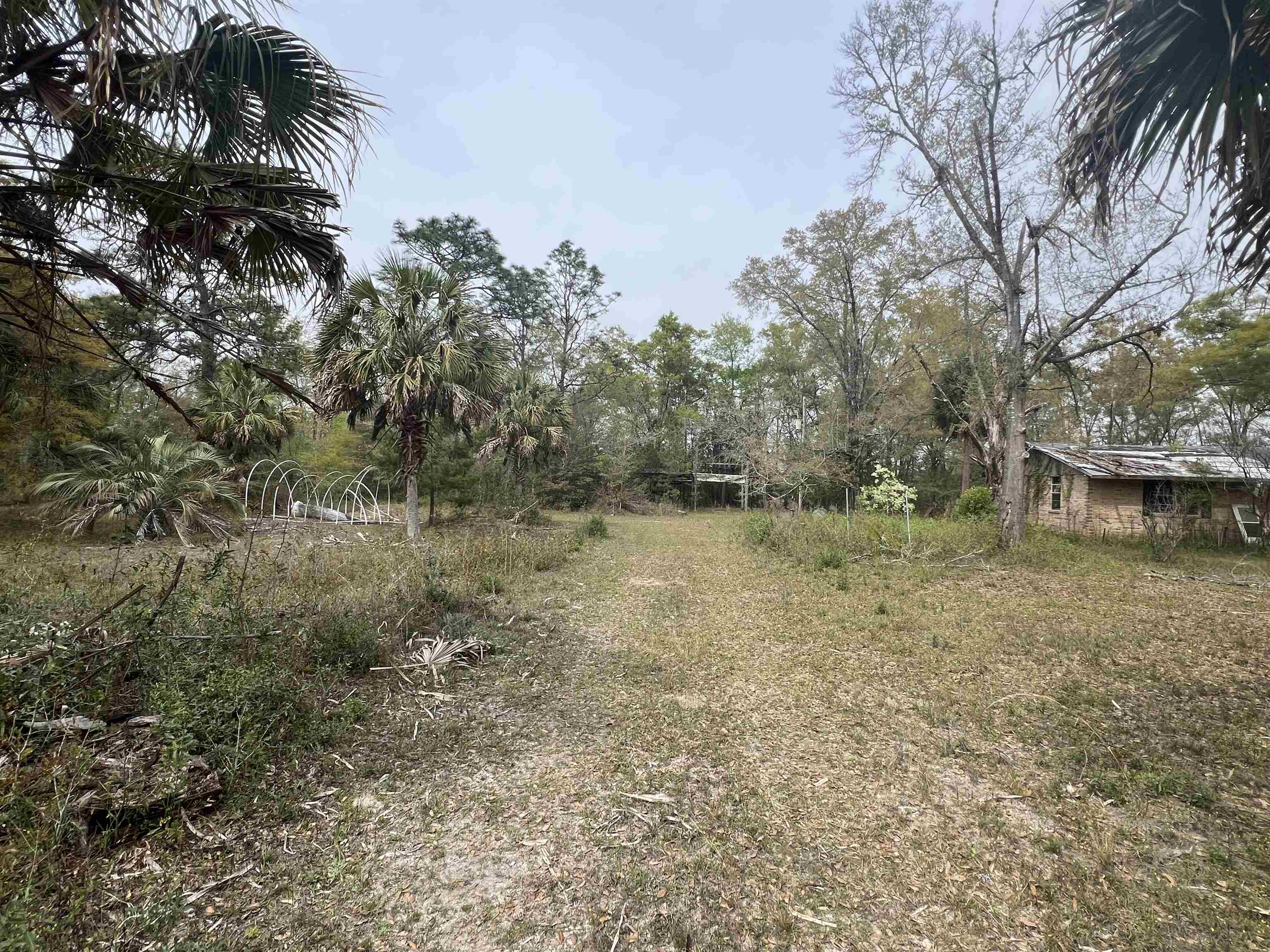 747 Old Federal Road Quincy, FL 32351 - Photo 6 of 11 Gallery Image 6