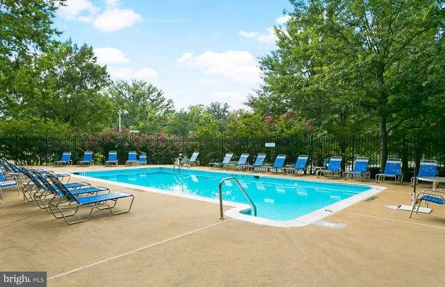 a view of a park with a tree
