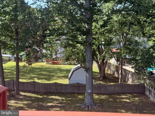 a view of a park with large trees