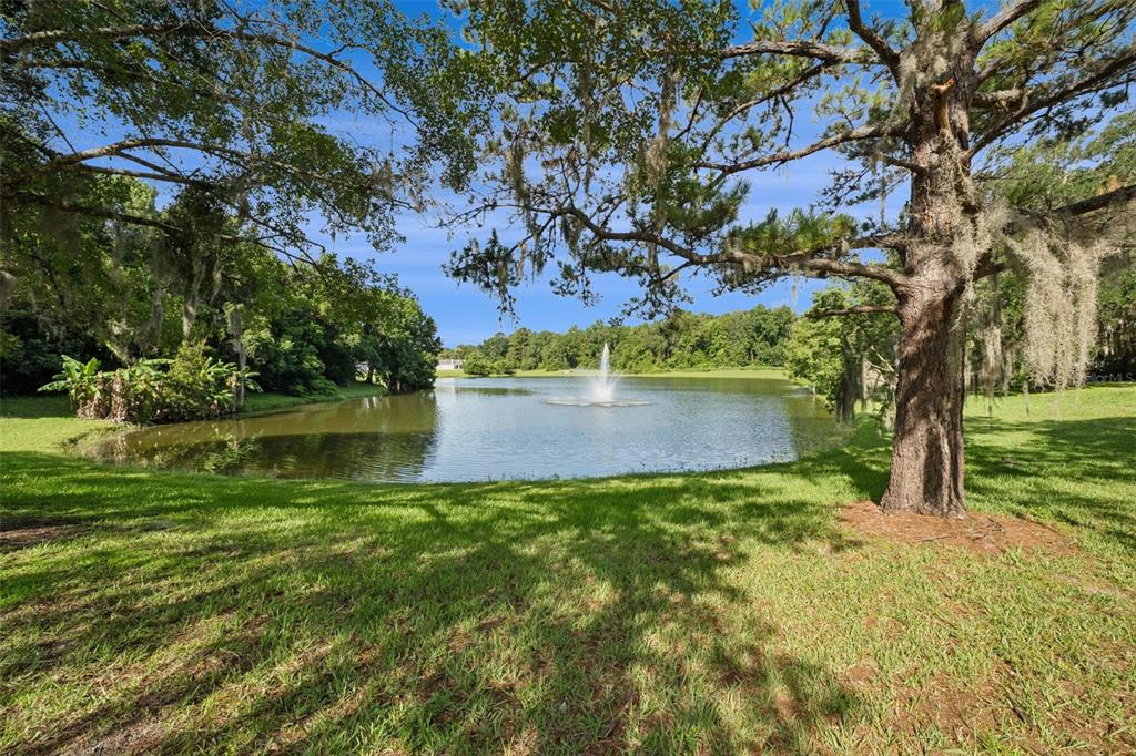 498 Green Spring Circle Winter Springs, FL 32708 - Photo 2 of 20 a view of a yard with a tree