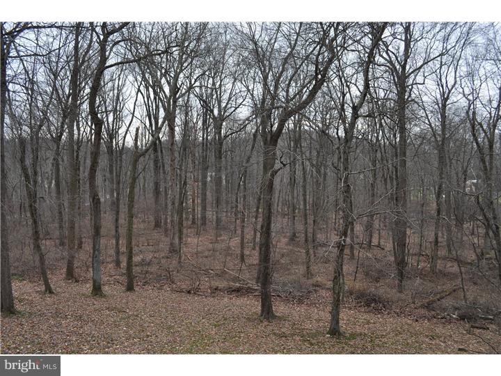 178 Grubb Road Malvern, PA 19355 - Photo 14 of 14 View in Back