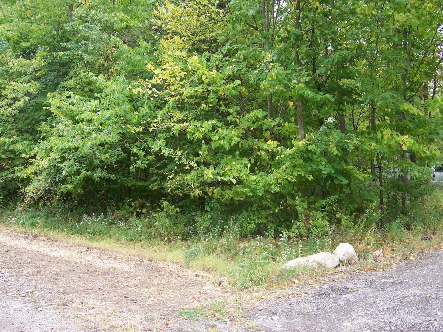 0 Cochrane Road Allenton, MI 48002 - Photo 2 of 4