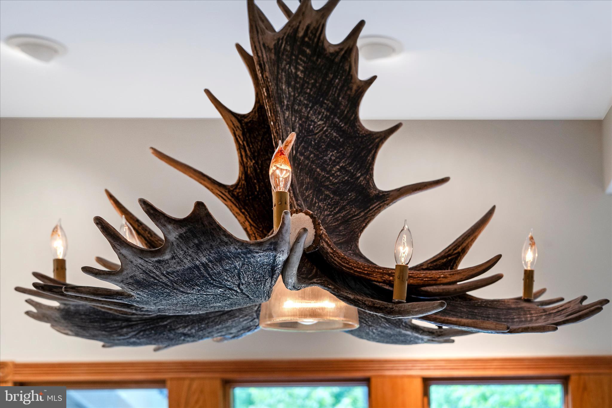 5019 Old Swimming Pool Road Frederick, MD 21703 - Photo 56 of 135 Lower Level Moose Antler Chandelier