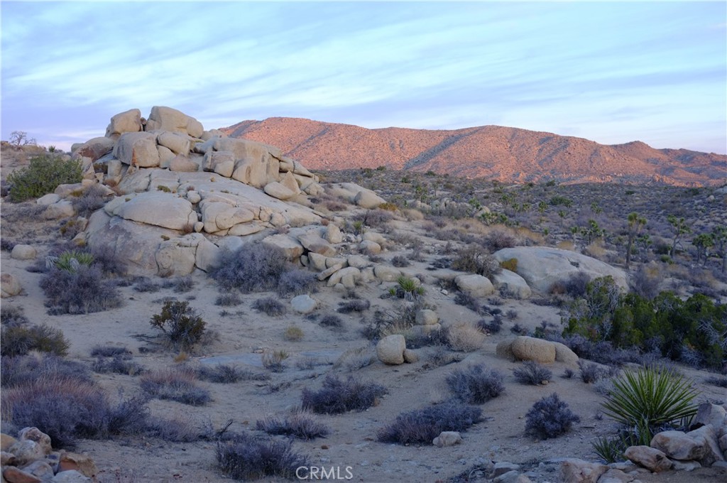 52588 Blackbrush Road Landers, CA 92285 - Photo 5 of 8 a view of a dry field with mountains in the background