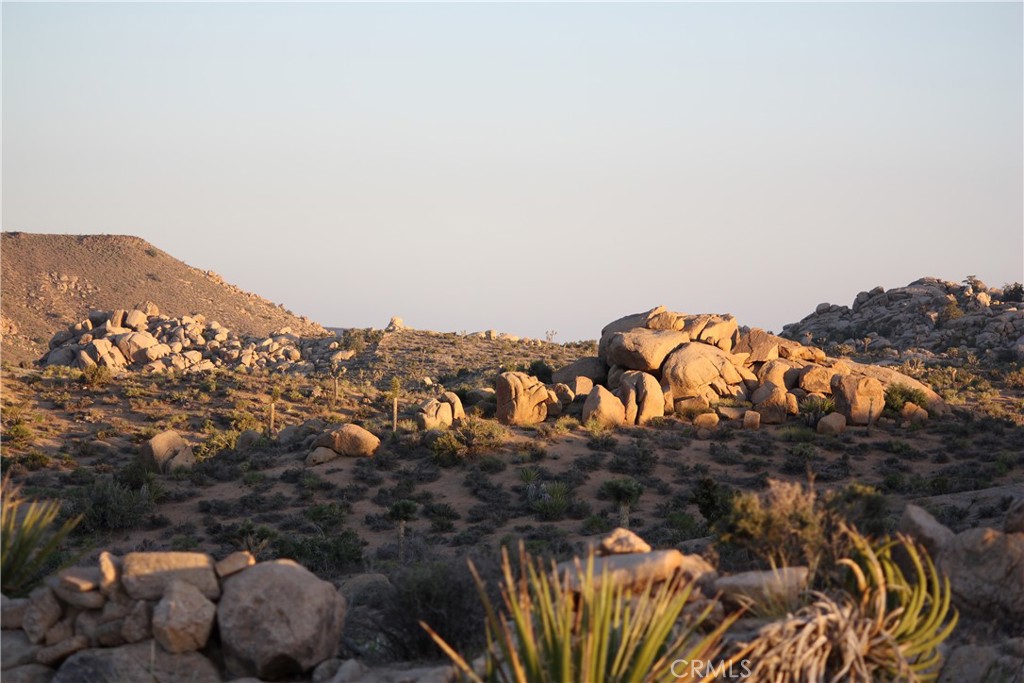 52588 Blackbrush Road Landers, CA 92285 - Photo 8 of 8