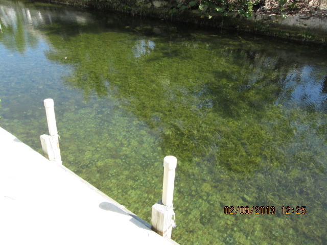 3945 Mary Road Big Pine Key, FL 33043 - Photo 21 of 23 Dock and canal