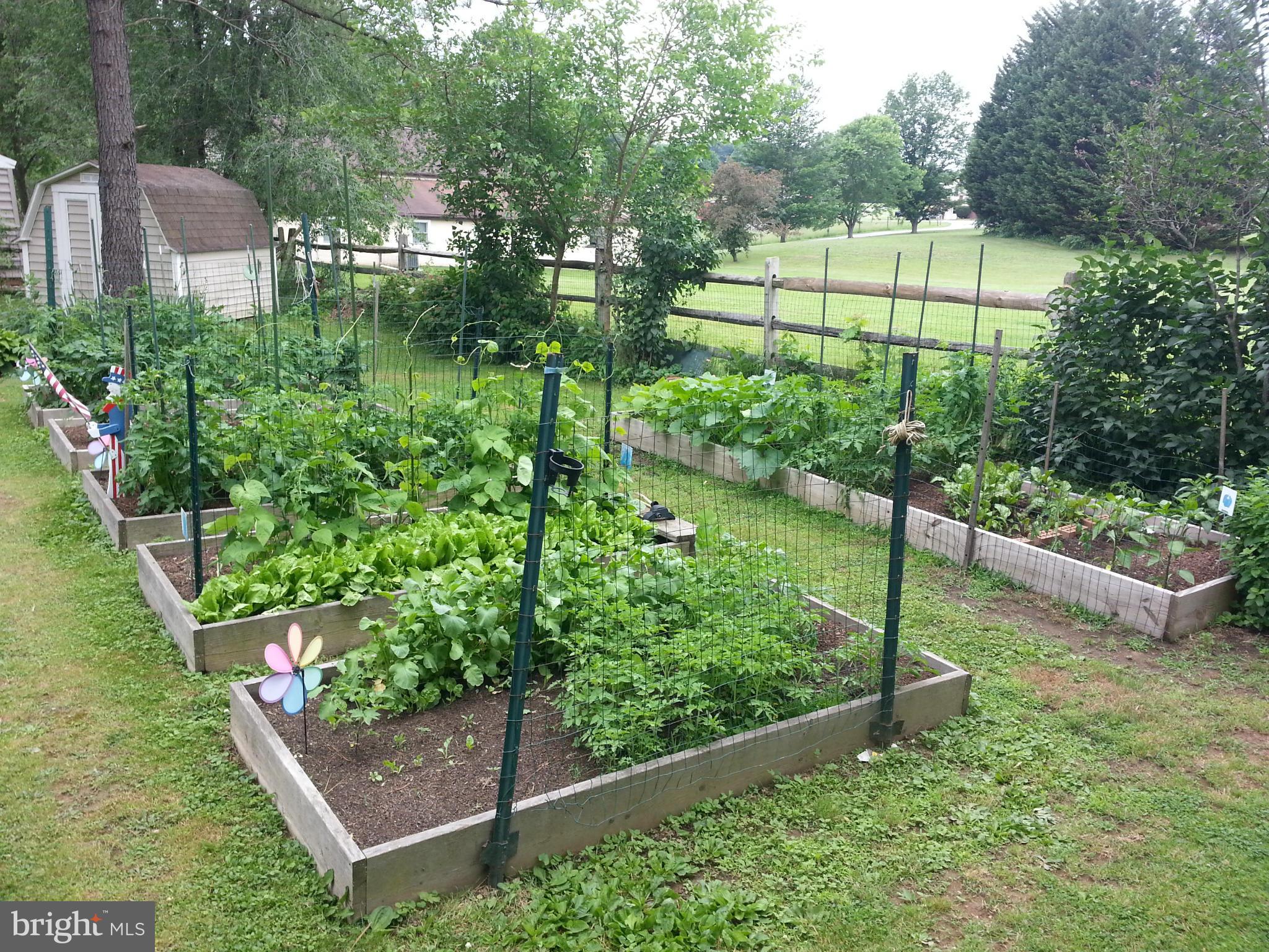 3212 Niner Road Finksburg, MD 21048 - Photo 27 of 30 Backyard - Raised Garden Beds