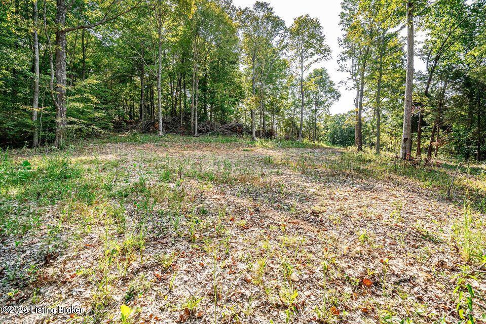 11451 Leitchfield Road Cecilia, KY 42724 - Photo 13 of 21 20240909183537272516000000-o