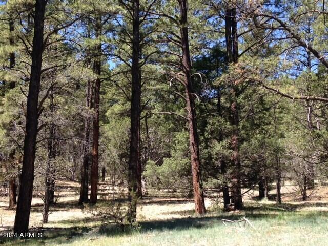 2 County Rd N2331 Nutrioso, AZ 85932 - Photo 2 of 40 a view of a lake with houses