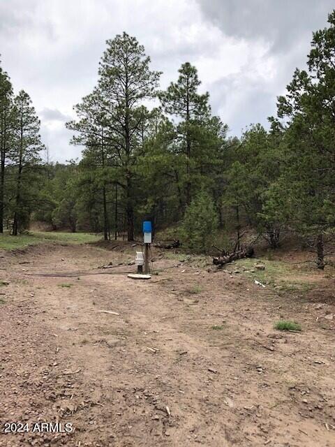 2 County Rd N2331 Nutrioso, AZ 85932 - Photo 29 of 40 a view of a outdoor space with trees