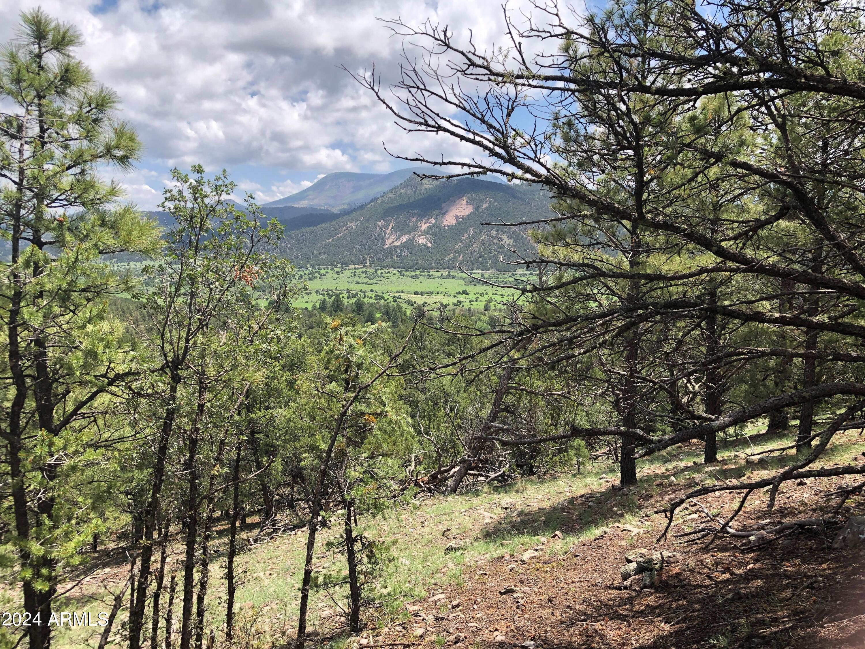 2 County Rd N2331 Nutrioso, AZ 85932 - Photo 3 of 40 a view of a yard