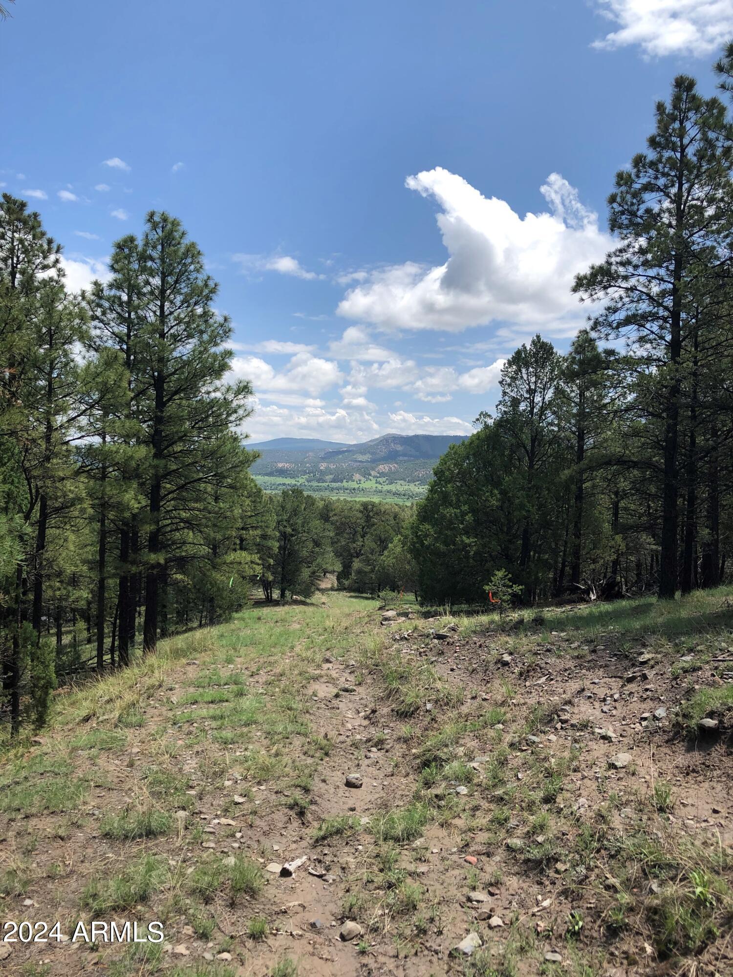 2 County Rd N2331 Nutrioso, AZ 85932 - Photo 31 of 40 a view of a field with trees in the background