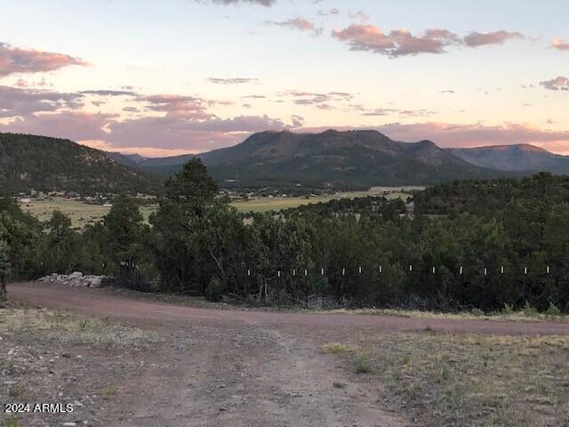 2 County Rd N2331 Nutrioso, AZ 85932 - Photo 32 of 40 a view of lake with mountain