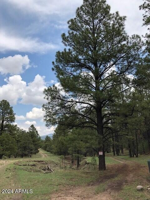 2 County Rd N2331 Nutrioso, AZ 85932 - Photo 33 of 40 a view of outdoor space