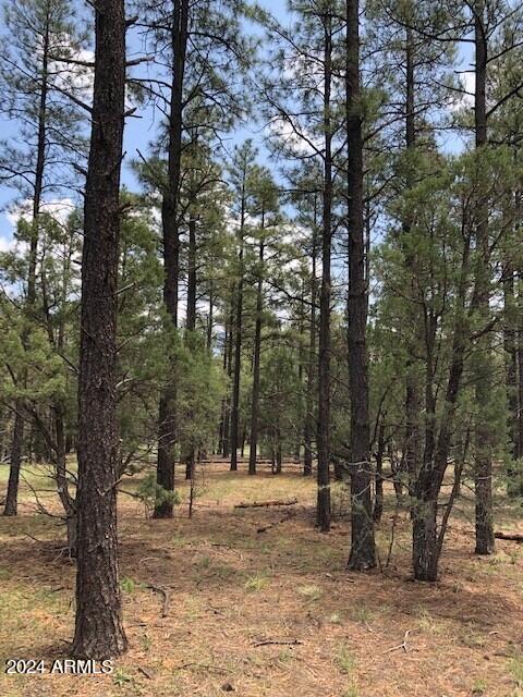 2 County Rd N2331 Nutrioso, AZ 85932 - Photo 37 of 40 a view of outdoor space with trees