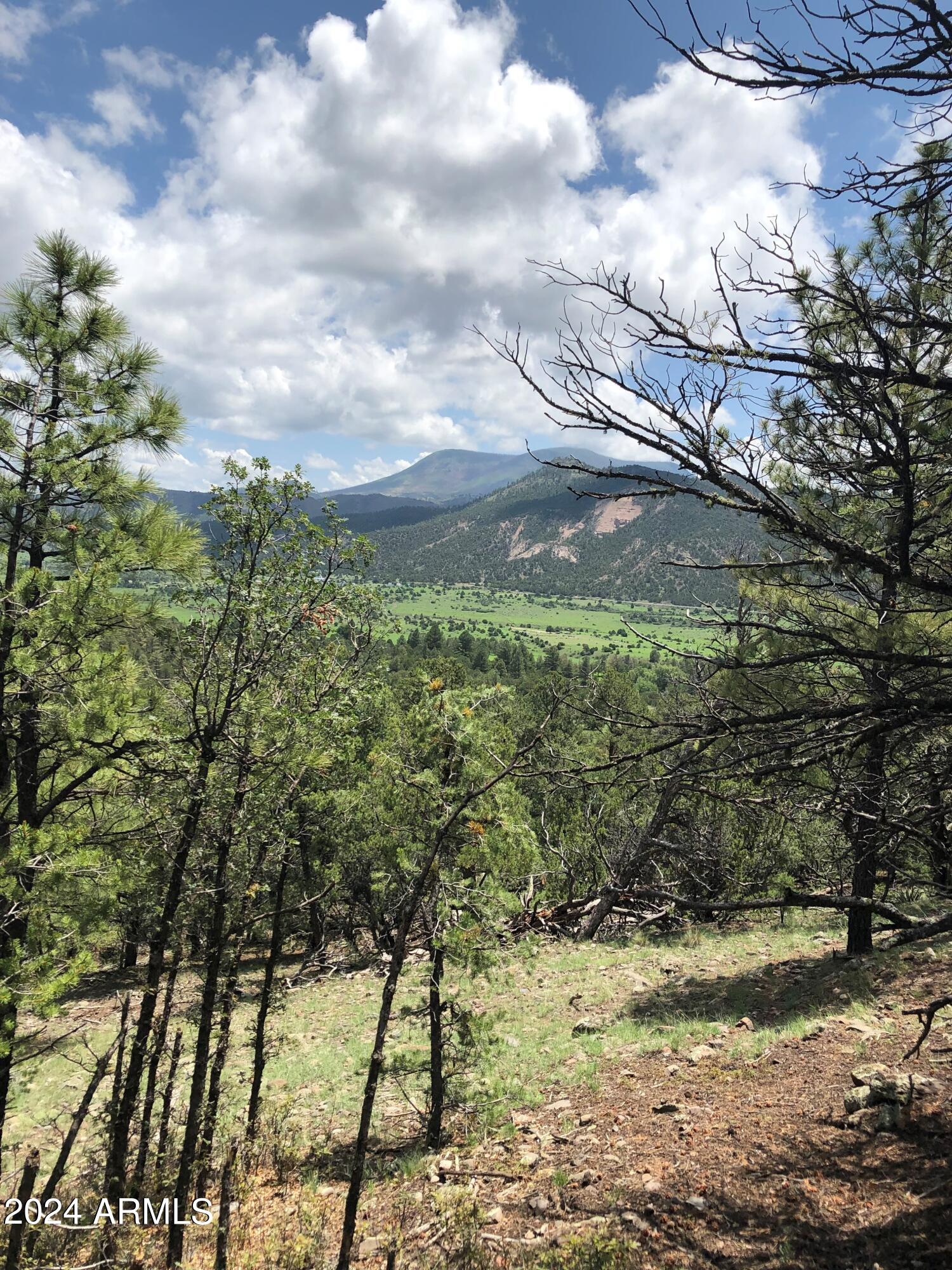 2 County Rd N2331 Nutrioso, AZ 85932 - Photo 38 of 40 a view of a yard