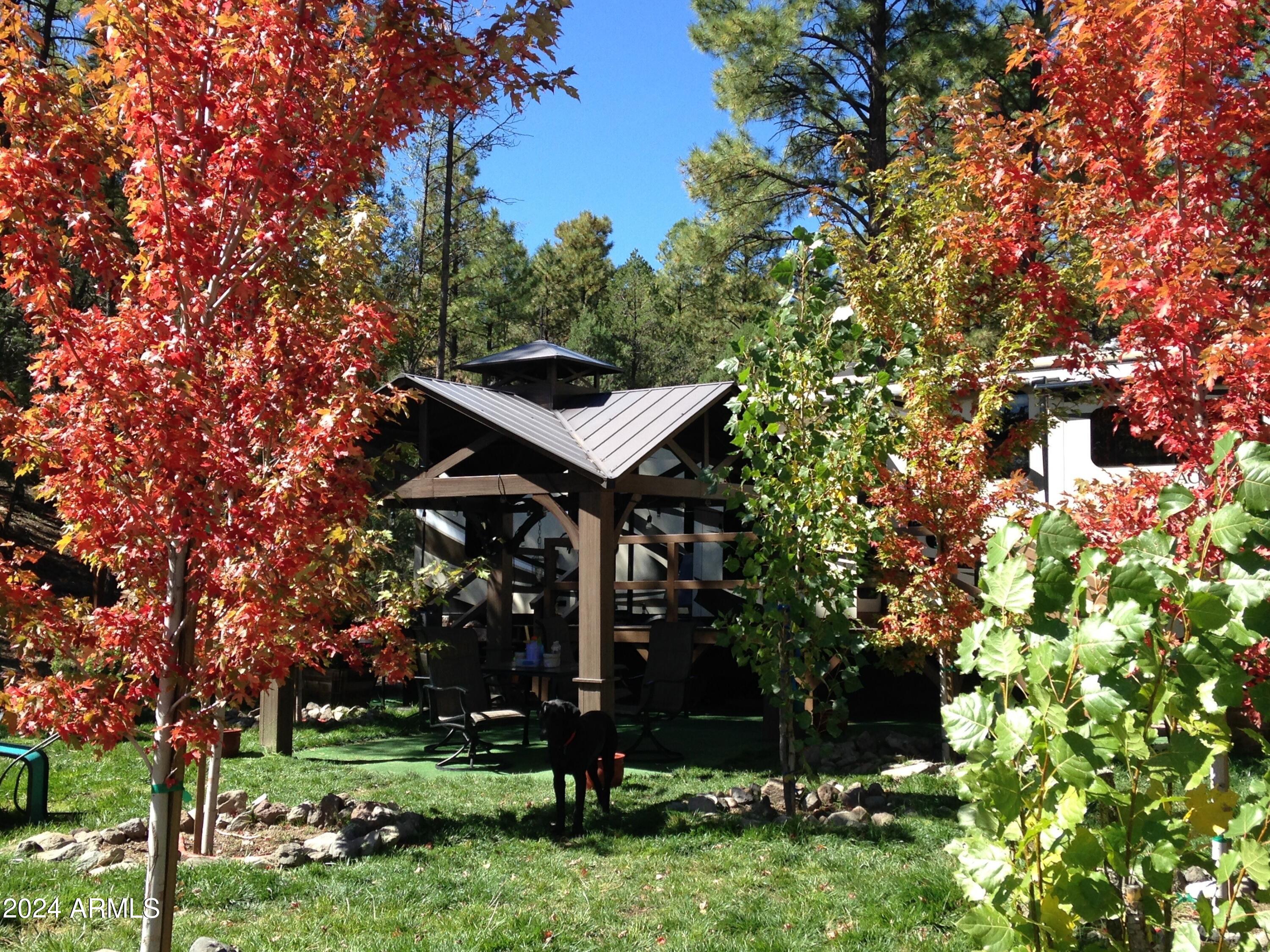 2 County Rd N2331 Nutrioso, AZ 85932 - Photo 8 of 40 a backyard of a house with lots of green space