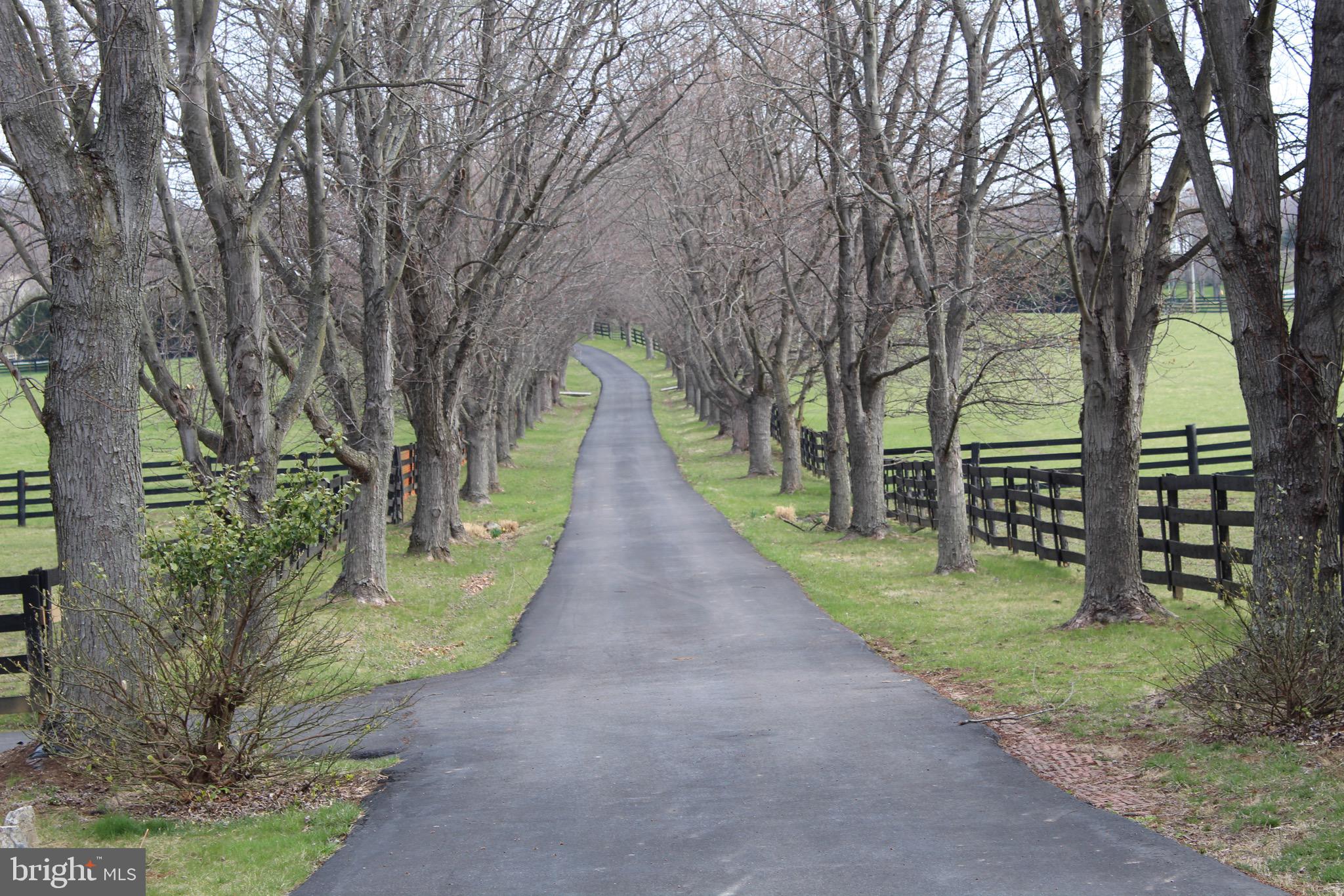 360 Glendobbin Road Winchester, VA 22603 - Photo 2 of 77 Tree-lined driveway to the home