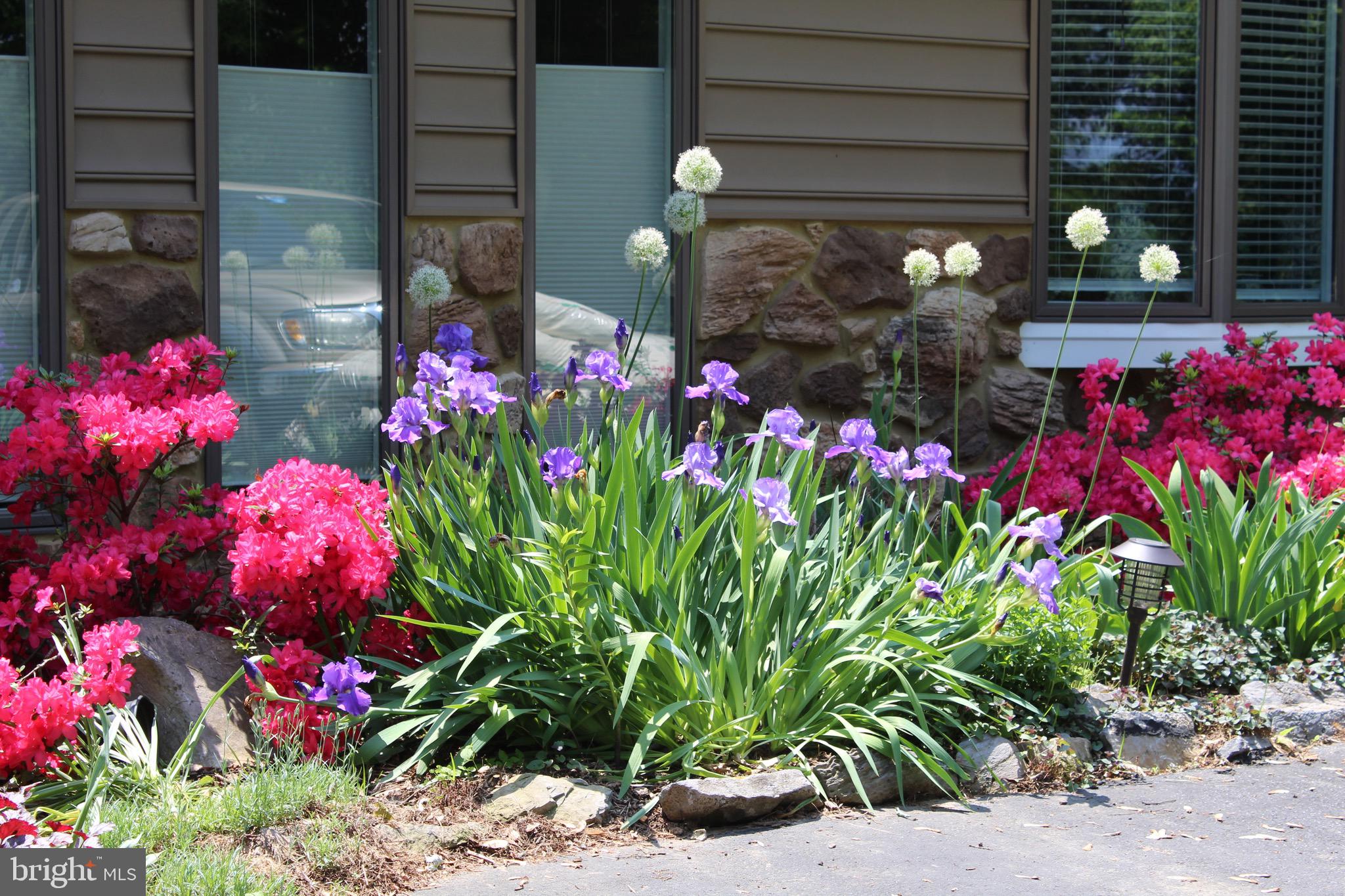 360 Glendobbin Road Winchester, VA 22603 - Photo 75 of 77 Lots of flowers