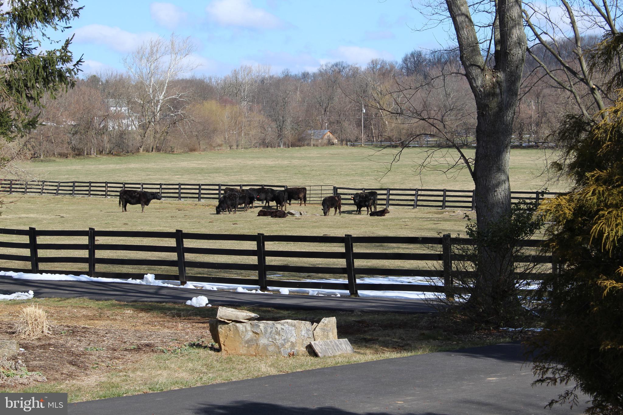 360 Glendobbin Road Winchester, VA 22603 - Photo 77 of 77 Bring your horses