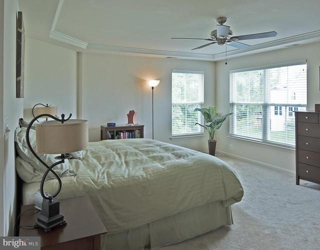 9131 Ribbon Falls Loop Bristow, VA 20136 - Photo 10 of 30 Light filled and Trey ceiling