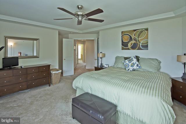 9131 Ribbon Falls Loop Bristow, VA 20136 - Photo 11 of 30 Bath (Master)