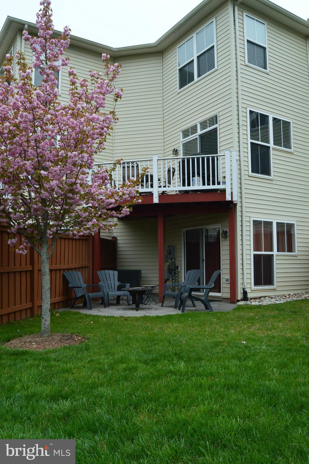 9131 Ribbon Falls Loop Bristow, VA 20136 - Photo 19 of 30 Privacy in the backyard