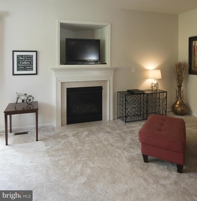 9131 Ribbon Falls Loop Bristow, VA 20136 - Photo 8 of 30 Gas Fireplace with Media built in