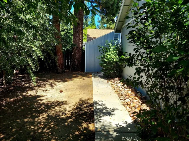 a view of a yard with plants and trees