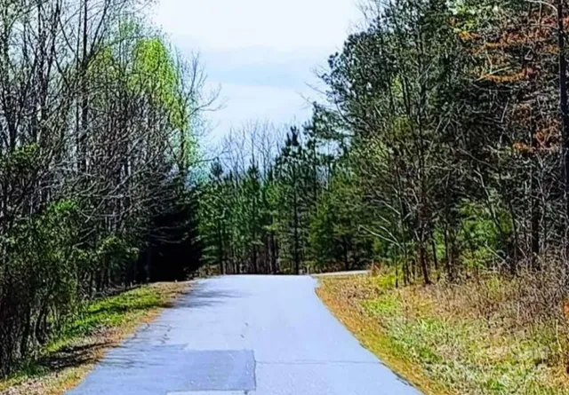 a view of a yard with plants and a lawn chair under an umbrella