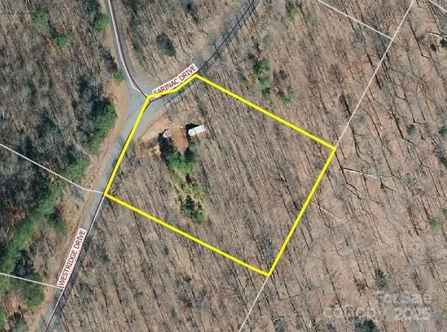 a picture of a floor with a tree in it