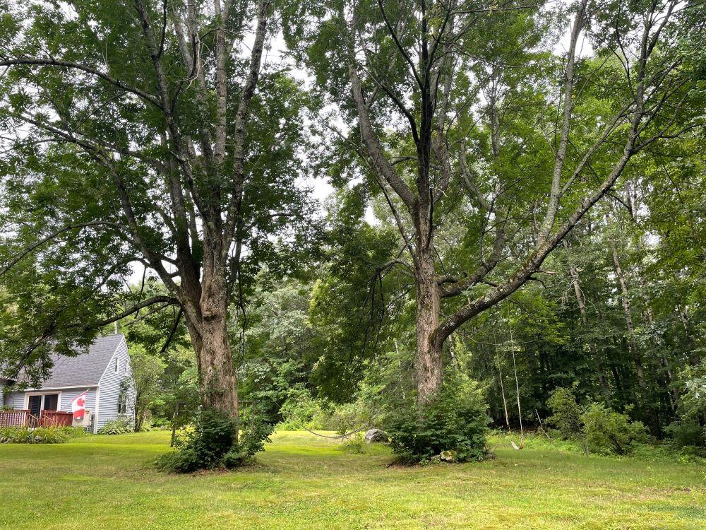383 Old Alfred Road Waterboro, ME 04030 - Photo 30 of 38 picture25 yard